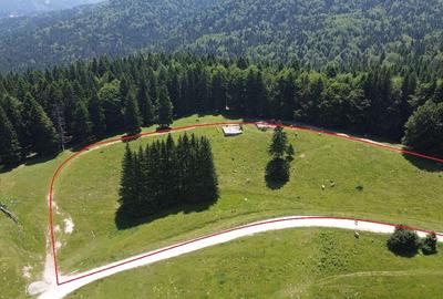 PREDEAL - Teren intravilan 6,000 m? -Poiana Secuilor