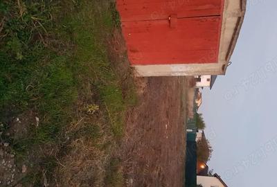 Spațiu comercial, în Domnești - 3