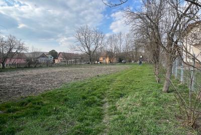 Casă cu 2 camere în Central - 2