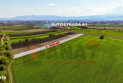 Teren de 3000 mp, în Gușterița - 2