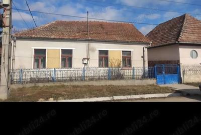 Casa de vanzare - 1