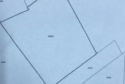 Teren Copacelu, 450mp - 1