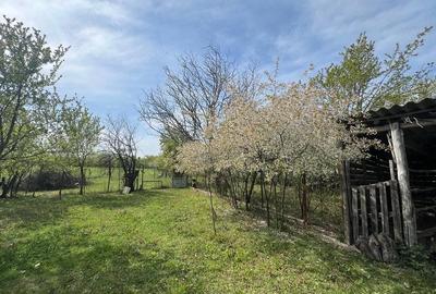 Casă cu Teren 2191 Mp în Cheșa - 2