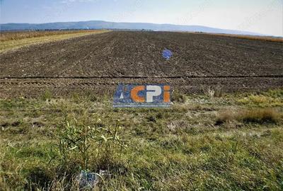 Teren iesire din Nicolae Balcescu, la 200ml de E85 Bacau - 4