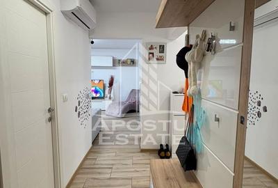 Apartament cu 3 camere decomandat, mobilat în Aradului - 10
