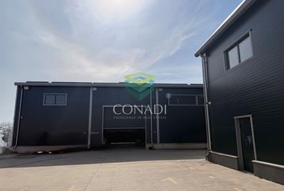 Spațiu industrial, de 1,420 mp, în Cernica - 2