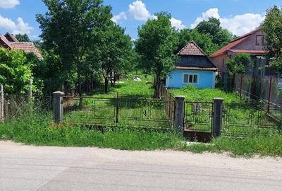 Casă cu 2 camere în Moldovenești