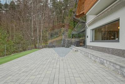 Vila moderna cu vedere spre padure Poiana Angelescu - 19