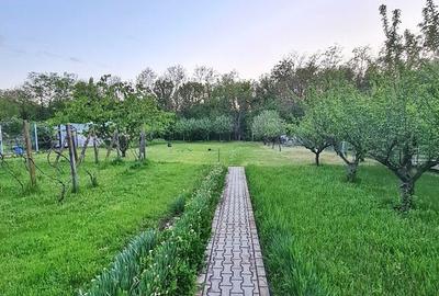 Direct proprietar - Proprietate Unica Buftea - 45