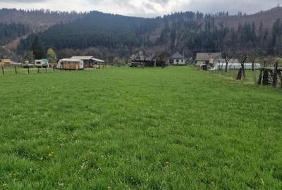 Teren intravilan de 7173 mp, în Vatra Moldoviței - 7