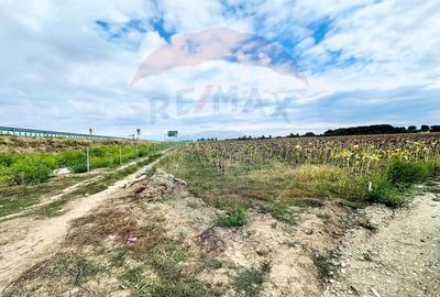 Teren Construcții intravilan de 14863 mp, în Ciorogârla - 4