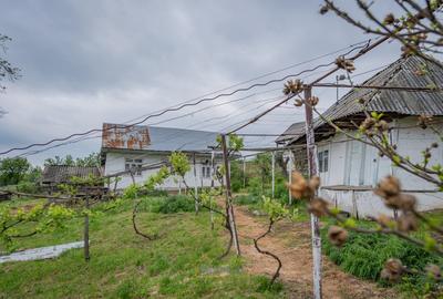 Teren Construcții de 13434 mp, în Ardeoani - 4