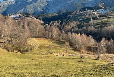 Teren de 10000 mp, în Bran