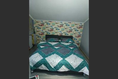 House for sale, 120 sqm, Botiz - 6