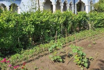 Casă cu 6 camere cu Teren 1300 Mp în Spătărei - 8