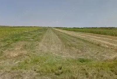 Teren extravilan cota parte 1/3 Cernatesti , ID: R2586146 - 6