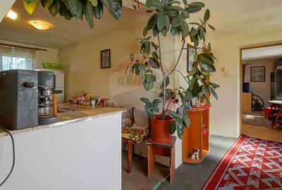 Casa / Vila cu 2 camere de vanzare in zona Vest - 5