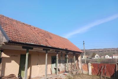 Casă individuală cu 2 camere cu Teren 1681 Mp în Stanciova - 4