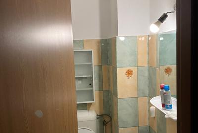 Apartament cu 3 camere decomandat în Ultracentral - 5