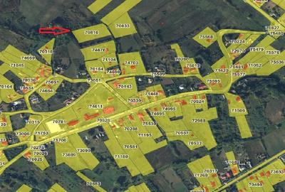 Teren de 3600 mp, în Lipovăț - 1
