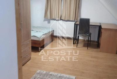 Casa individuala in Giarmata-VII, Centrala proprie,Garaj,curte,gradina - 19