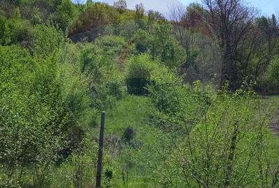 Teren de 800 mp, în Mediaș