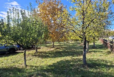 Casă cu 5 camere cu Teren 7017 Mp în Pruni - 6