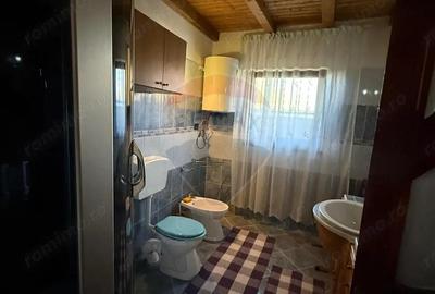 Casa Pielesti Teren 1624 mp - 11