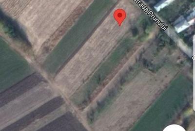 Spațiu comercial, în Plopșoru - 2