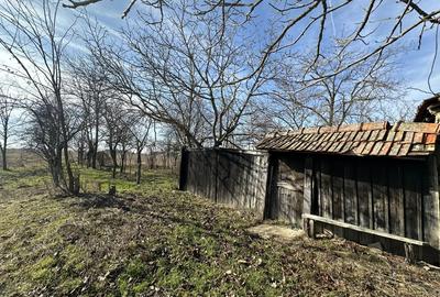 Vand Casa in Siclau Judet Arad Teren 1500Mp - 3