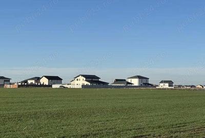 Teren de 12000 mp, în Dragomirești-Vale - 10