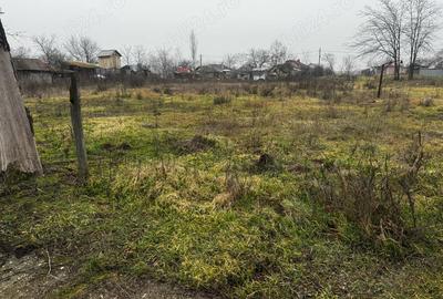 Spațiu comercial, în Alexandriei - 2