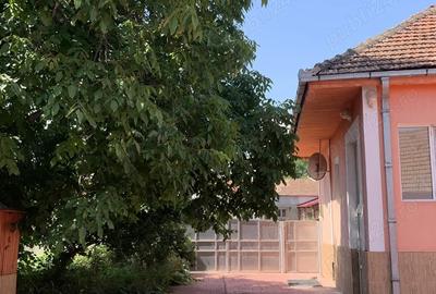Casă cu 2 camere în Cricău - 9