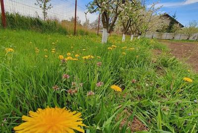 Casă cu 4 camere în Central - 3