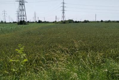 Teren de vanzare 7.360 mp  Oarja, Pasarela A1 Pret  25 760 euro 3,5 €/mp! - 2