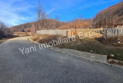 Teren de 4681 mp, în Bărăști - 5