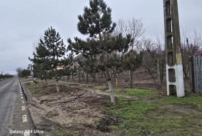 Spațiu comercial, în Iezeru - 2