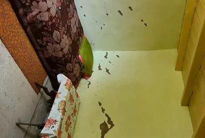 Casa + teren de vanzare Valea Nucului - 9