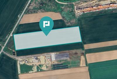 Teren agricol intravilan de 35000 mp, în Șag - 2
