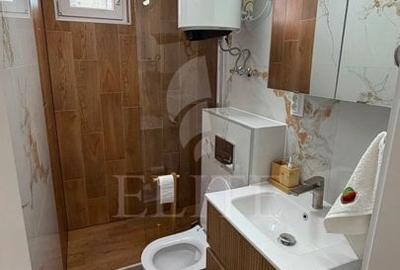 Apartament cu 2 camere circular, mobilat în Plopilor - 11