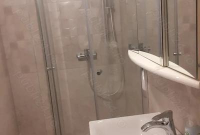 Garsonieră semidecomandată în Dumbrăvița - 10