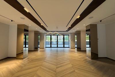 Spațiu comercial, de 376 mp, în Kiseleff - 2