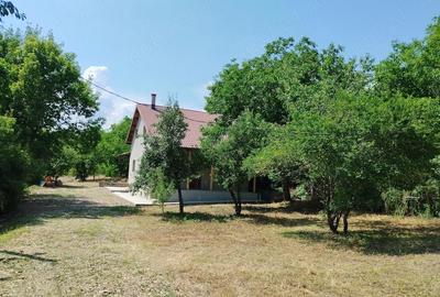 Casă cu Teren 2700 Mp în Copou - 2