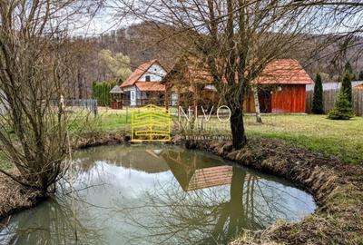 Casă singur în curte – Mureș – Câmpu Cetății - 31