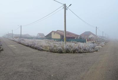 Teren de 591 mp, în Frumușeni - 3