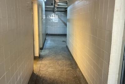 Spațiu comercial, de 380 mp, în Terezian - 18