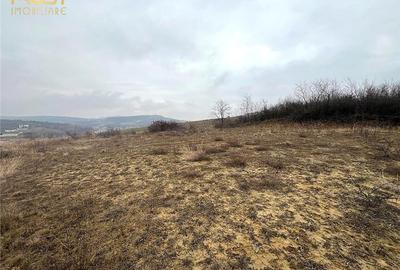 Teren Construcții extravilan de 905 mp, în Sigmir - 6