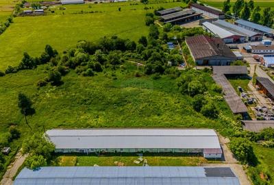 Teren construcție, în Teliu - 5