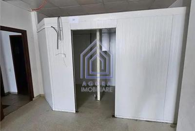 Spațiu comercial, de 250 mp, în Central - 6