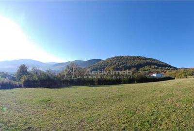 Teren de in Rasinari posibilitate de racordare la curentul - 3